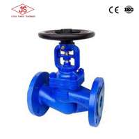 cast iron globe valve