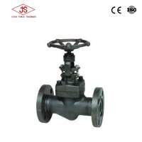 ANSI manual A105 forging flange globe valve 150lb 800lb